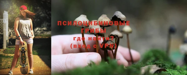 ешки Алзамай