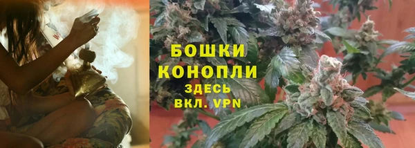 ешки Алзамай