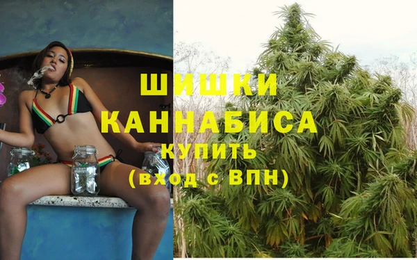 ешки Алзамай