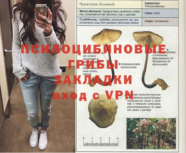 ALPHA PVP Алексин
