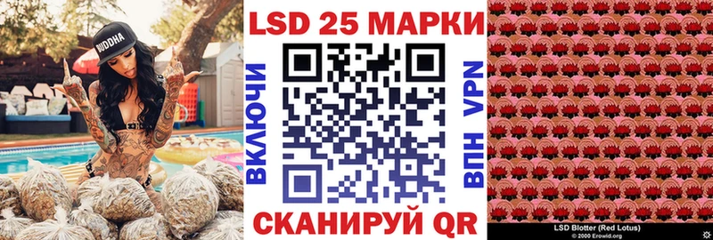 закладка гидра рабочий сайт Марки 25I-NBOMe 1500мкг Кольчугино