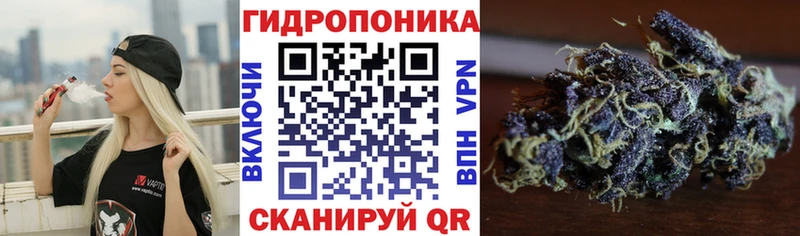 даркнет сайт  Кольчугино  Шишки марихуана AK-47 